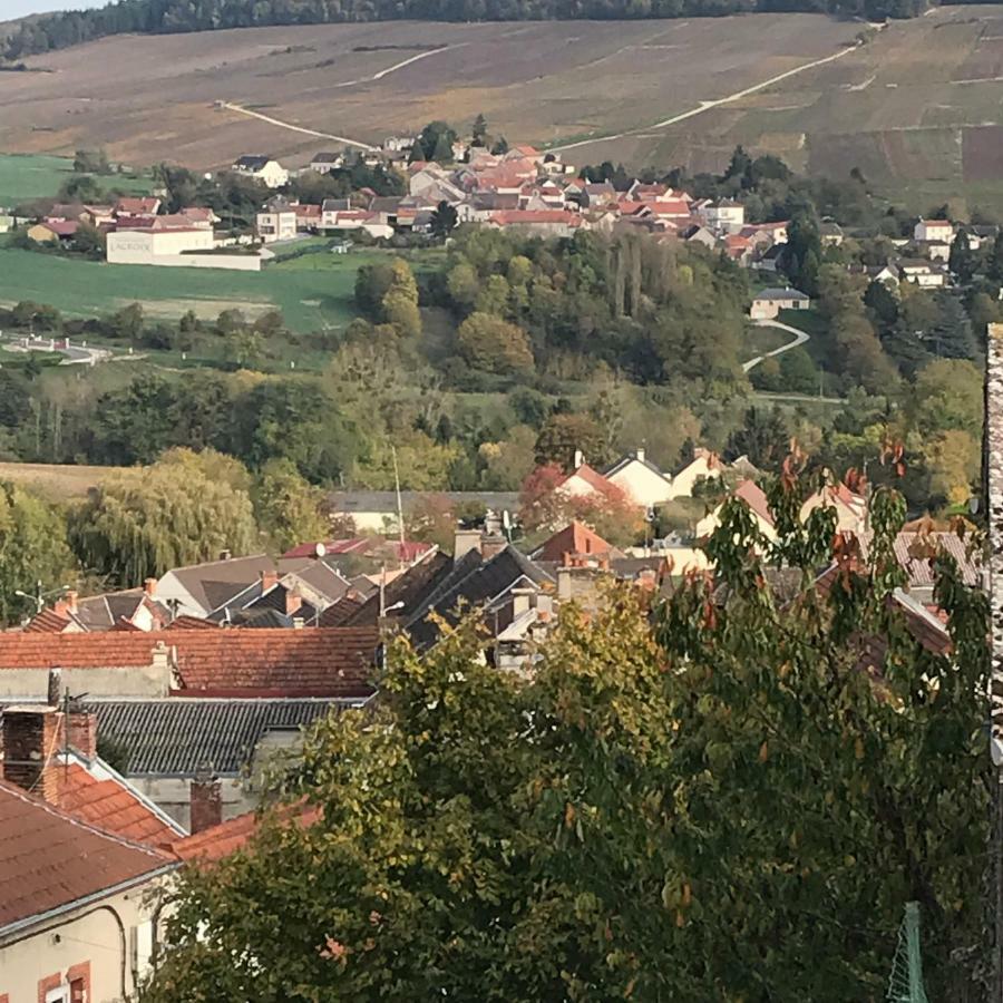 Chambres D'Hotes Karine Smej Chatillon-sur-Marne Экстерьер фото